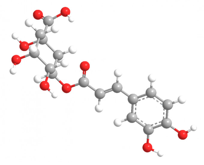 Chlorogenic酸の3Dイメージ
