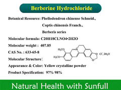 Berberine Hydrochloride CAS No. 633-65-8