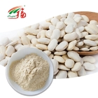 White Kidney Bean Extract 1%-2% Phaseolin HPLC Plant Extract For Losing Weight
