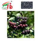 Aronia Berry Anthocyanin Extract Powder 5% Anthocyanidins For Food Supplements