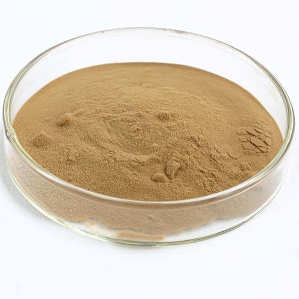 Coriolus Versicolor エクストラクト 10%~50% ポリサクライド PSK PSP トルコ 尾 キノコ エクストラクト