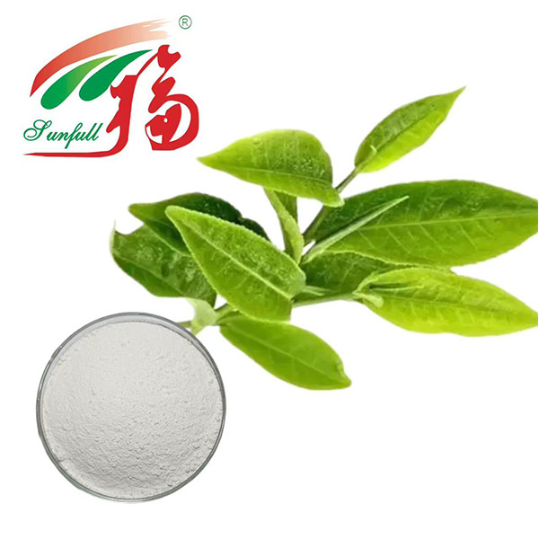究極の抗酸化力! 98% EGCG 緑茶抽出物 - 生命力のための自然の盾