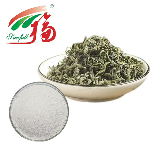 究極の抗酸化力! 98% EGCG 緑茶抽出物 - 生命力のための自然の盾