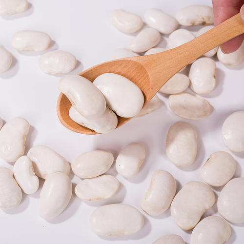 プレミアムホワイトキドニービーンエキス (Phaseolus Vulgaris) - 高純度 α-アミラーゼインヒビター (体重と血糖値管理用)