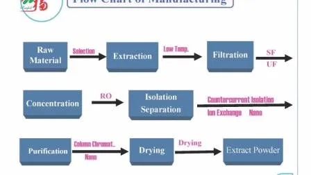 食品グレード用途の去痰薬として、微細な褐黄色粉末中のコルジセプス・シネンシス抽出物粉末10%多糖類
