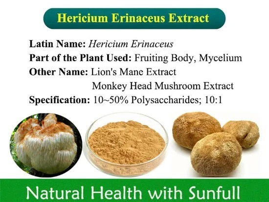 Hericium Erinaceus Extract 10% ポリサハリド 胃病と肝臓保護のための薄茶色の黄粉