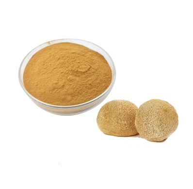 Hericium Erinaceus Extract 10% ポリサハリド 胃病と肝臓保護のための薄茶色の黄粉