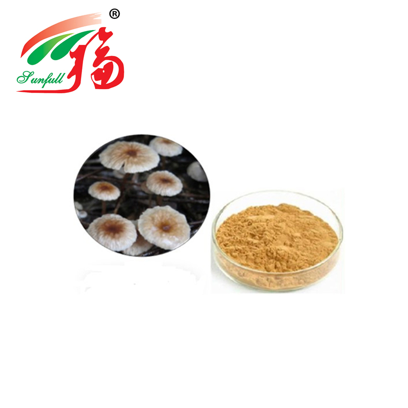 高品質ヒメマツタケエキス末（80メッシュ、2年間の賞味期限、年間生産能力20トン）