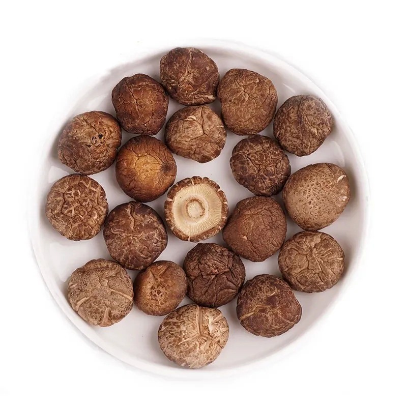 Reishi Mushroom Extract 40% Polysaccharides for Functional Food with Liver Protection Anti-microbial and Anti-cancer Properties