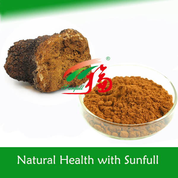 Chaga Mushroom Extract Powder 25kg/Drum 100mt/Year Production Capacity for Health Care Products