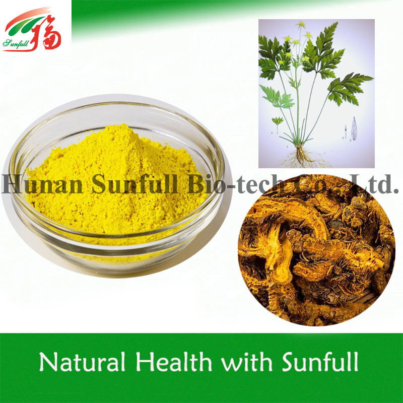 100% 天然バーベリンヒドロクロリド 97% 98% CAS番号 633-65-8のコプティス・チネンシス根から