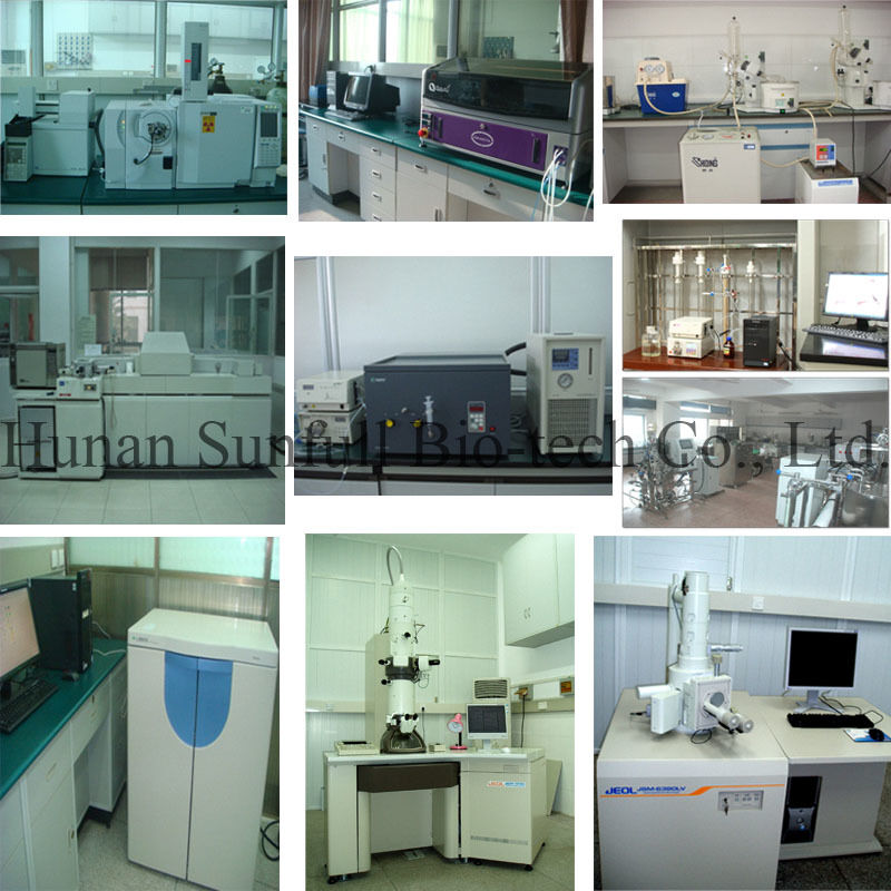 抗菌抽出物 バーベリンヒドロクロリド ベルベリス種 (バーベリー) の黄色の結晶粉末 CAS番号 633-65-8