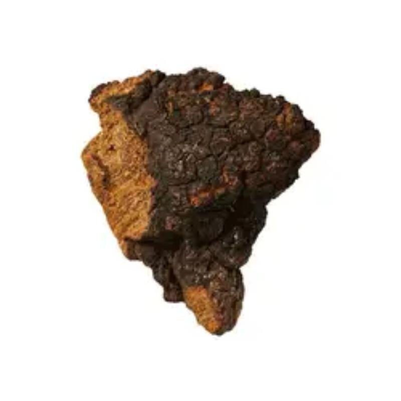 チャガ抽出物 機能食品用 20% ポリサカリド 免疫力強化 菌類抽出物粉末