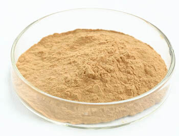 機能性食品用抗腫瘍特性を持つ、20%多糖類含有のキクラゲエキス末、微細な黄褐色粉末