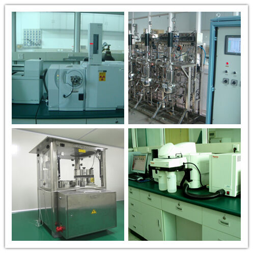 ポリアココス抽出粉 50% ポリサカリド 免疫力を高める 食品と医療のための淡い黄色茶色の粉