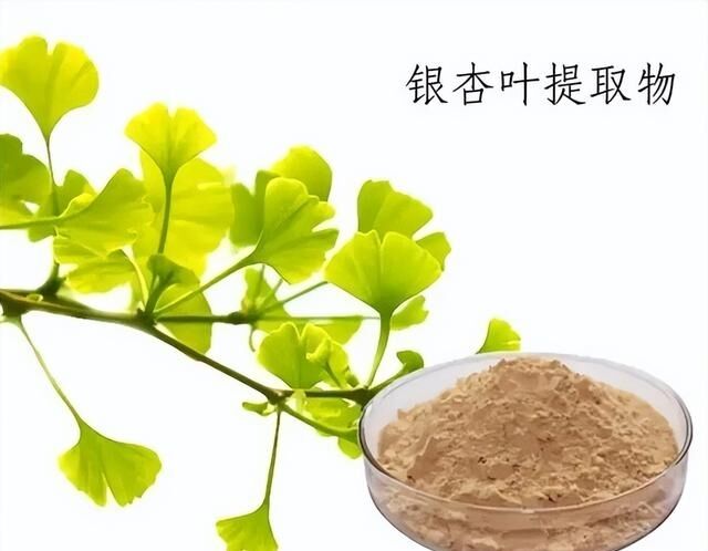 100%天然 水溶性 24% ジンコゴライド ジンコビロバ 葉っぱ抽出粉末 栄養補助食品