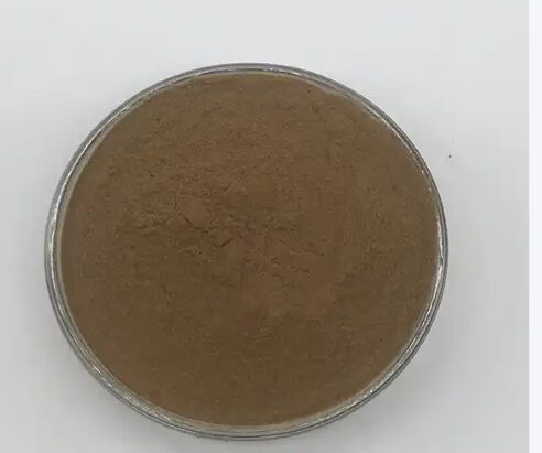 ISO/コシェル 消化を促進する食品級 カシア種子抽出物 10: 1 / 20% HPLC セノシドス セナ葉抽出物