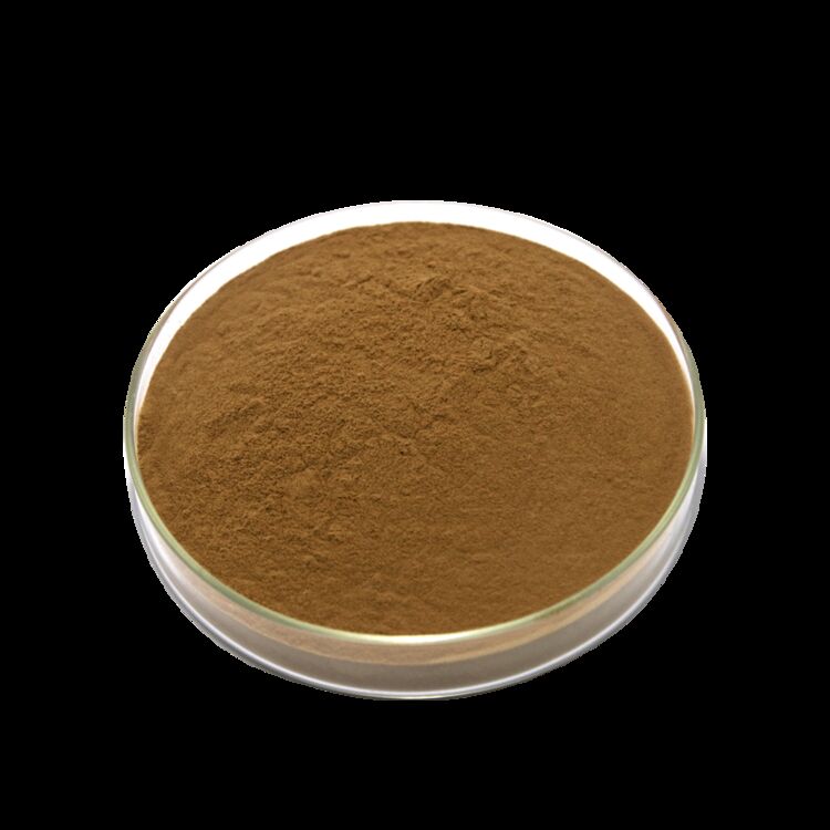 ISO/コシェル 消化を促進する食品級 カシア種子抽出物 10: 1 / 20% HPLC セノシドス セナ葉抽出物