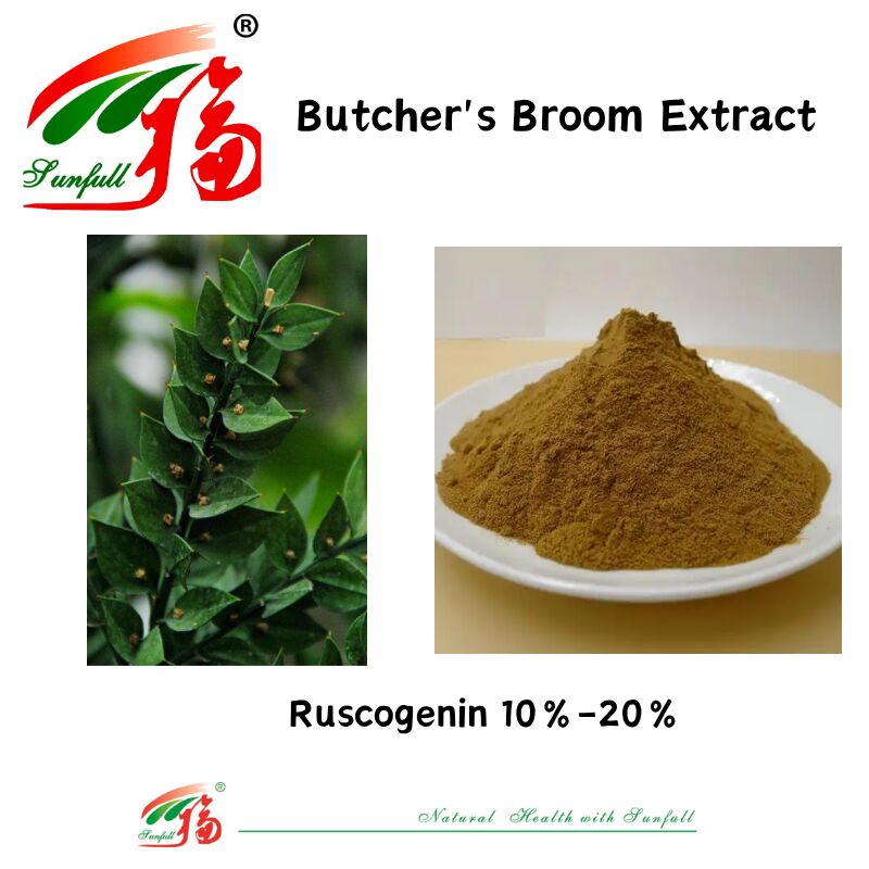 高品質の工場価格 Ruscus Aculeatus 根エキス 10%-20% Ruscogenin 肉屋のほうきエキス