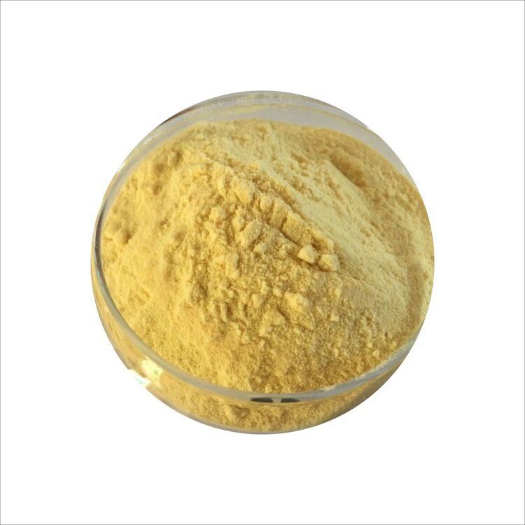 湖南 サンフル 最安値 ISO/コシェル 栄養補助食品 カワラクトン 10%~30% カワエキストラクト 補給用粉
