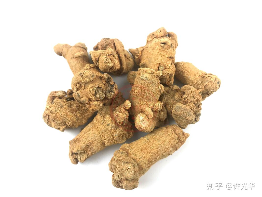 工場供給 血止症 栄養補助食品 10% 40% 80% ノトギンセノシド パナックス ノトギンセンの根抽出物