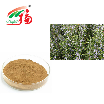 ローズマリーは反老化するRosmarinus Officinalisのための30% Rosmarinicの酸を得る