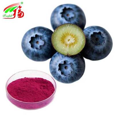ブルーベリー抽出物粉 Vaccinium Uliginosum L アントシアニジン 5% -25%