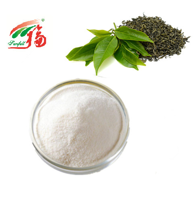 ユダヤの緑茶のエキスは化粧品のための98% EGCG Epigallocatechinの没食子酸塩を粉にする
